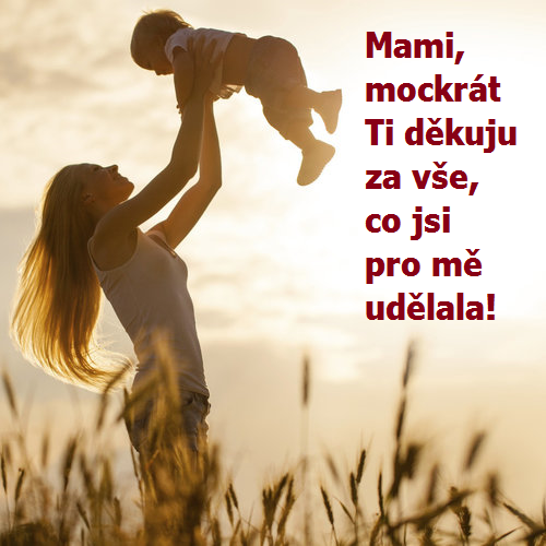 Mezinárodní den matek