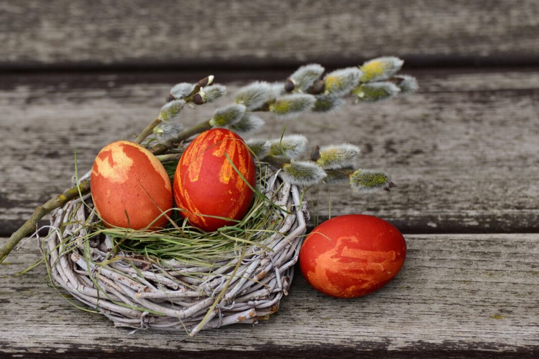 Velikonoce, vajíčka, kočičky, velikonoční přání ke stažení zdarma