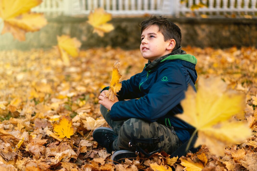 Chlapec pozoruje padající listí, horoskop na říjen